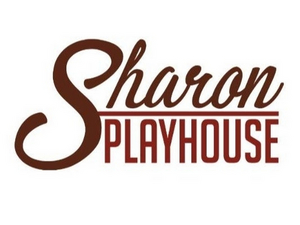 Sharon Playhouse Launches WRITERS PLAYGROUND Image