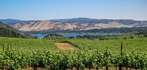 Wine Aficionados Stephen D. Kreps and Robert L. Pepi Chat with Broadwayworld Image