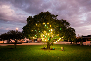 Museum of Contemporary Art, North Miami Restores 'Electric Tree' Public Artwork 