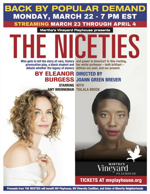 Martha's Vineyard Playhouse Presents THE NICETIES Live Online With Amy Brenneman 