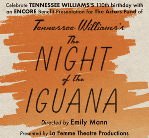 $10 Tickets to The Night of the Iguana Starring Dylan McDermott & Phylicia Rashad 