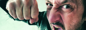 New Theatre Presents THE REMOVALISTS Image