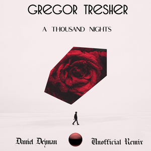 Daniel Dejman Electrifies Gregor Tresher's 'A Thousand Nights' With Stirring Remix 