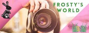 Student Blog: A Swag Bag of Spring Entertainment - Frosty's World 12 Image