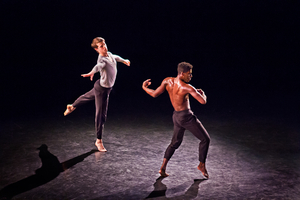 Martha Graham Dance Company Announces GrahamFest95 Image