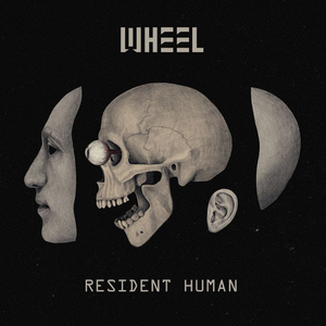 Wheel Release Stunning New Album 'Resident Human' 