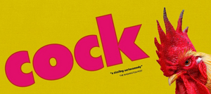 BWW Review:  Studio Theatre's COCK is a Raw, Raunchy Rant on Choice, Need and Identity 