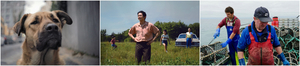Filmhouse Launches FILMHOUSE AT HOME New Online Streaming Platform Image