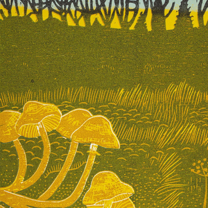 Rural Tapes Announces Self-Titled Debut Album Image