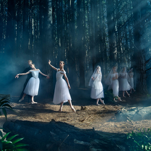 Royal New Zealand Ballet Tours Production of GISELLE  Image