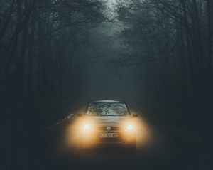EgoPo Presents Adam Rapp's NOCTURNE As An Immersive Drive-in Theatrical Event Image