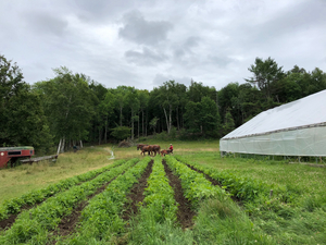 Threadbare Theatre Workshop Announces Outdoor Summer Season at Carding Brook Farm Image