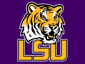 LSU School of Theatre Announces Bachelor of Fine Arts in Film and Television Image