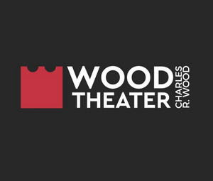 Chuck Schumer Promotes 'Save Our Stages' at the Wood Theater in Glens Falls Image