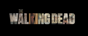 AMC's THE WALKING DEAD Final Season Begins August 22 
