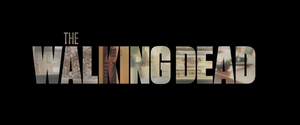 AMC's THE WALKING DEAD Final Season Begins August 22 Image