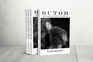 Vangeline Releases Hardcover Edition Of CRADLING EMPTY SPACE and Offers Virtual Four-Day Workshop Image