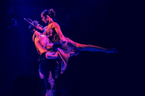 MATADOR Returns To Melbourne Image