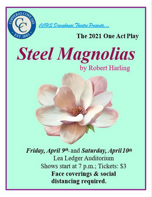 STEEL MAGNOLIAS Comes to CCHS Dawghouse Theatre Tonight 