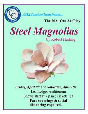 STEEL MAGNOLIAS Comes to CCHS Dawghouse Theatre Tonight Image