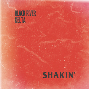 Black River Delta Share Video for 'California Sun' Image