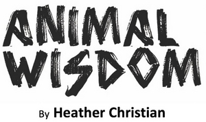 Tickets Now on Sale for ANIMAL WISDOM Original Film Adaptation Image