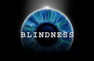 BLINDNESS Adds More Performance Times at The Daryl Roth Theatre Image