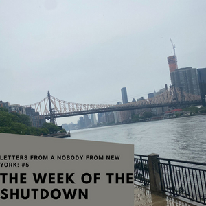 Student Blog: Letters from a Nobody in New York #5: Snapshots of The Week of the Shutdown Image