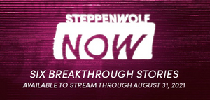 Steppenwolf NOW: 50% Off Six Groundbreaking Stories 