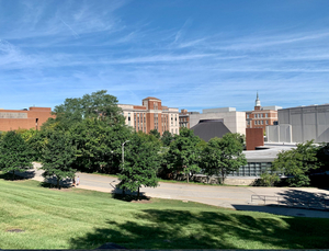 Student Blog: Advice for a College Freshman Image