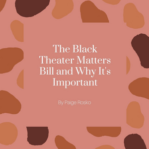 Student Blog: The Black Theater Matters Bill and Why It's Important Image