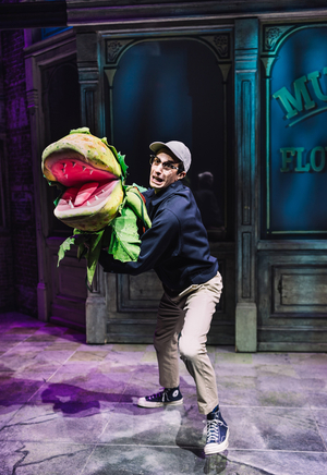 LITTLE SHOP OF HORRORS Returns to Off-Broadway Run This Fall Image