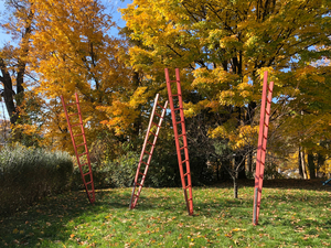 Kaatsbaan Cultural Park Announces Spring Festival Casting, Offers Online Access To Select Programs Image