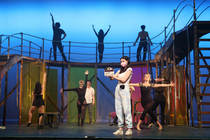 Student Blog: Northwestern's Dolphin Show Still Has Magic to Do Image