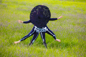 Pilobolus to Premiere BLOOM: A JOURNEY Roving Car Safari Performance Image