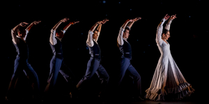 Review: BALLET FLAMENCO DE ANDALUCIA at Grande Théâtre Image