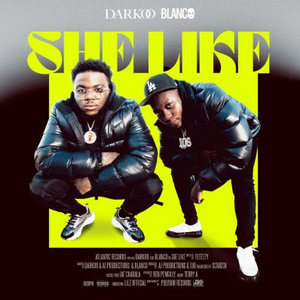 Darkoo x Blanco Release New Single 'She Like'  Image