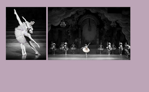 THE NUTCRACKER Will Be Performed by the Boston Ballet This November Image