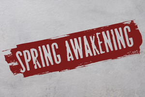 Feature: KAARTVERKOOP SPRING AWAKENING IN DELAMAR WEST AANGEKONDIGD! Image