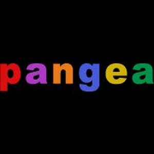 The Randy Andys to Return to Live Performance Pangea Image