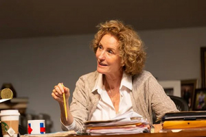 Stage and Screen Actress Lisa Banes in Critical Condition After Hit-and-Run Accident Image