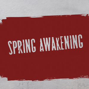 Feature: MUSICAL SPRING AWAKENING AL UITVERKOCHT DELAMAR West Image