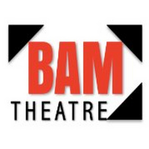 MAMMA MIA! to be Presented by BAMtheatre Image