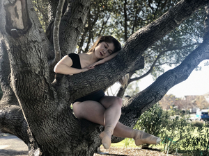 Student Blog: Just a Dream Image