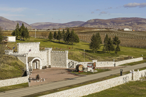 Discover STONE CASTLE Wines from Kosovo 