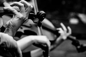 DSM to Present Musicians Of The Dallas Symphony Orchestra Image