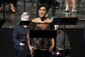 Feature: ONLINE VIRTUAL OPERA TOUR at Home Computer Screens Image