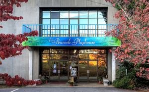 Learn More About the Peacock Performing Arts Center in Hayesville! 