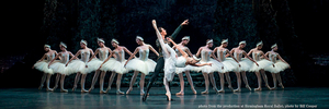 Casting Announced For SWAN LAKE at the New National Theatre, Tokyo 