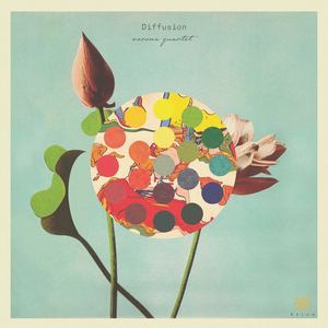 Verona Quartet Releases Debut Album DIFFUSION Image